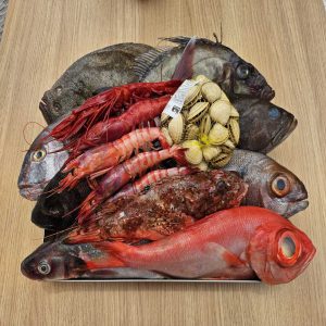 Pescado fresco del día en Restaurante Norai Portopetro