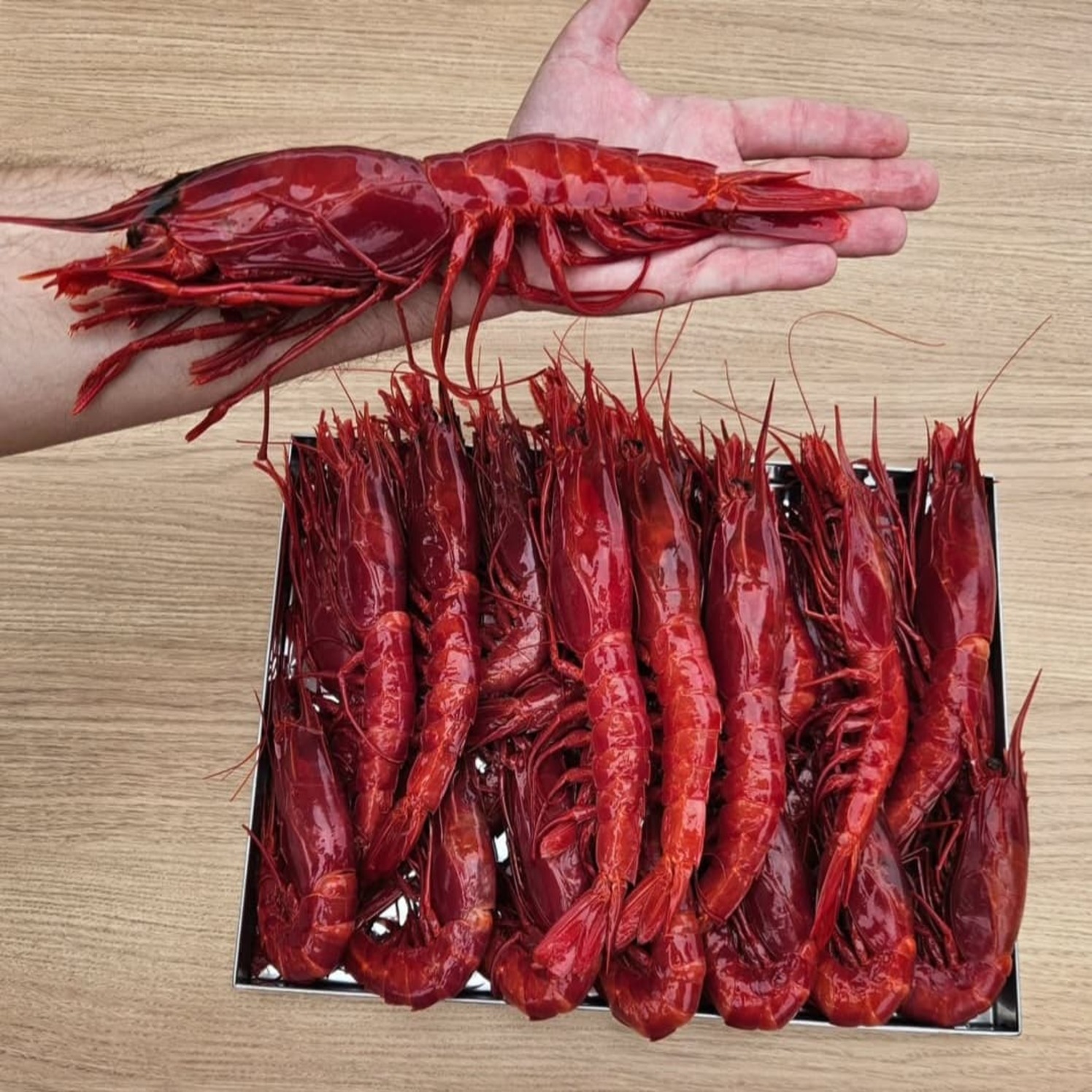 Pescado fresco del día en Restaurante Norai Portopetro